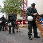 Skandal in Köln: Deutsche Schäferhunde schützen islamische Moschee!!!