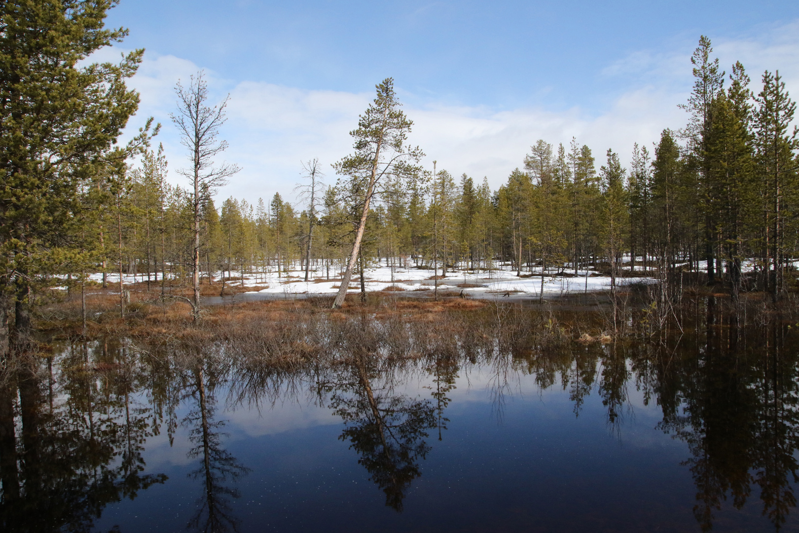 Skandinavien