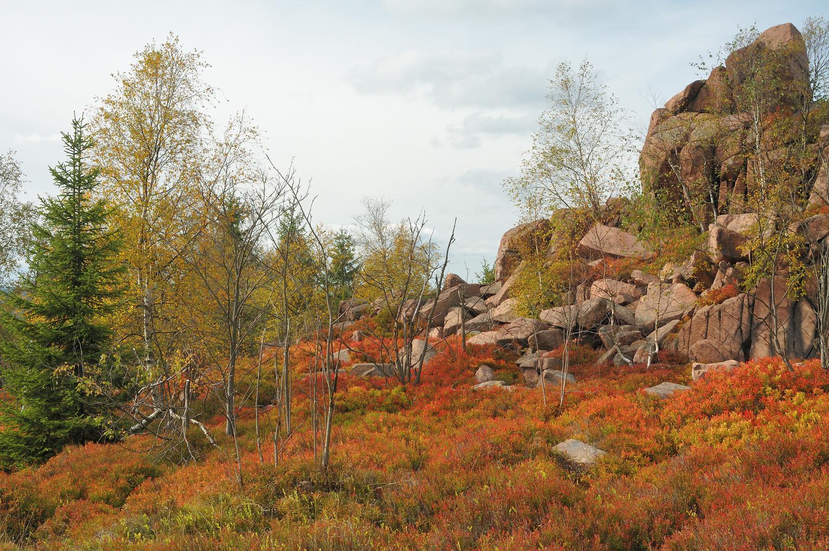 Skandinavische Landschaft