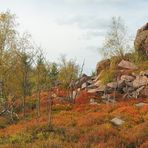 Skandinavische Landschaft