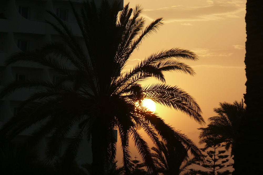 skanes Monastir coucher