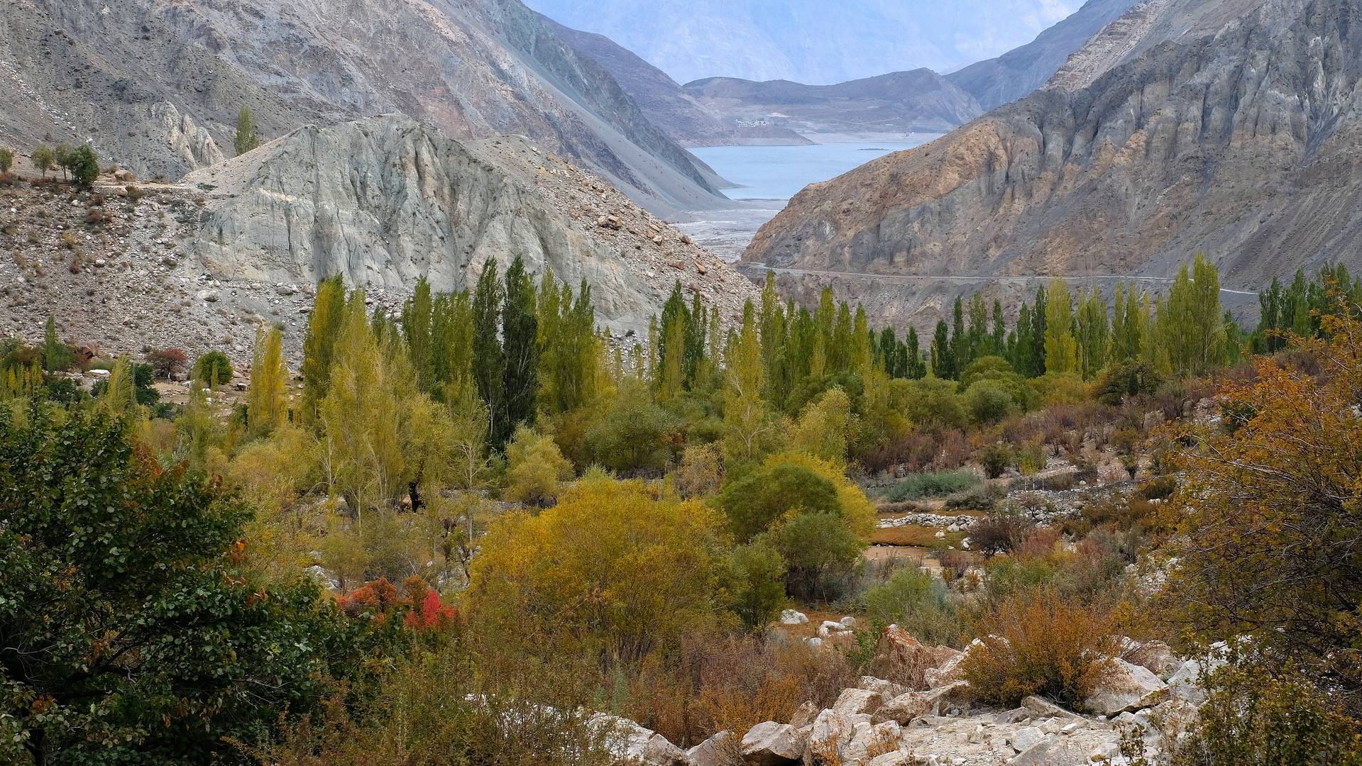 Skardu Area - auf dem Weg zu den Deosai Plains / Northern Areas, Pakistan 