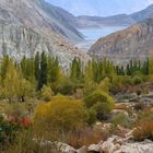 Skardu Area - auf dem Weg zu den Deosai Plains / Northern Areas, Pakistan 