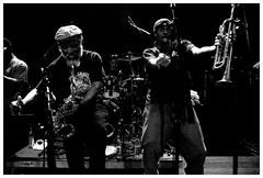 Skatalites @ Ampere ..