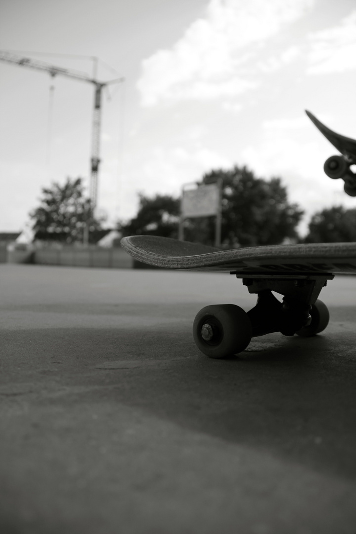 Skate b/w