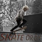 skate or die