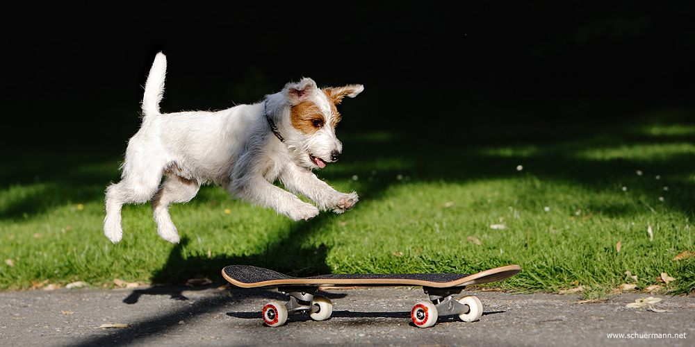 Skateboard fahren