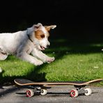 Skateboard fahren