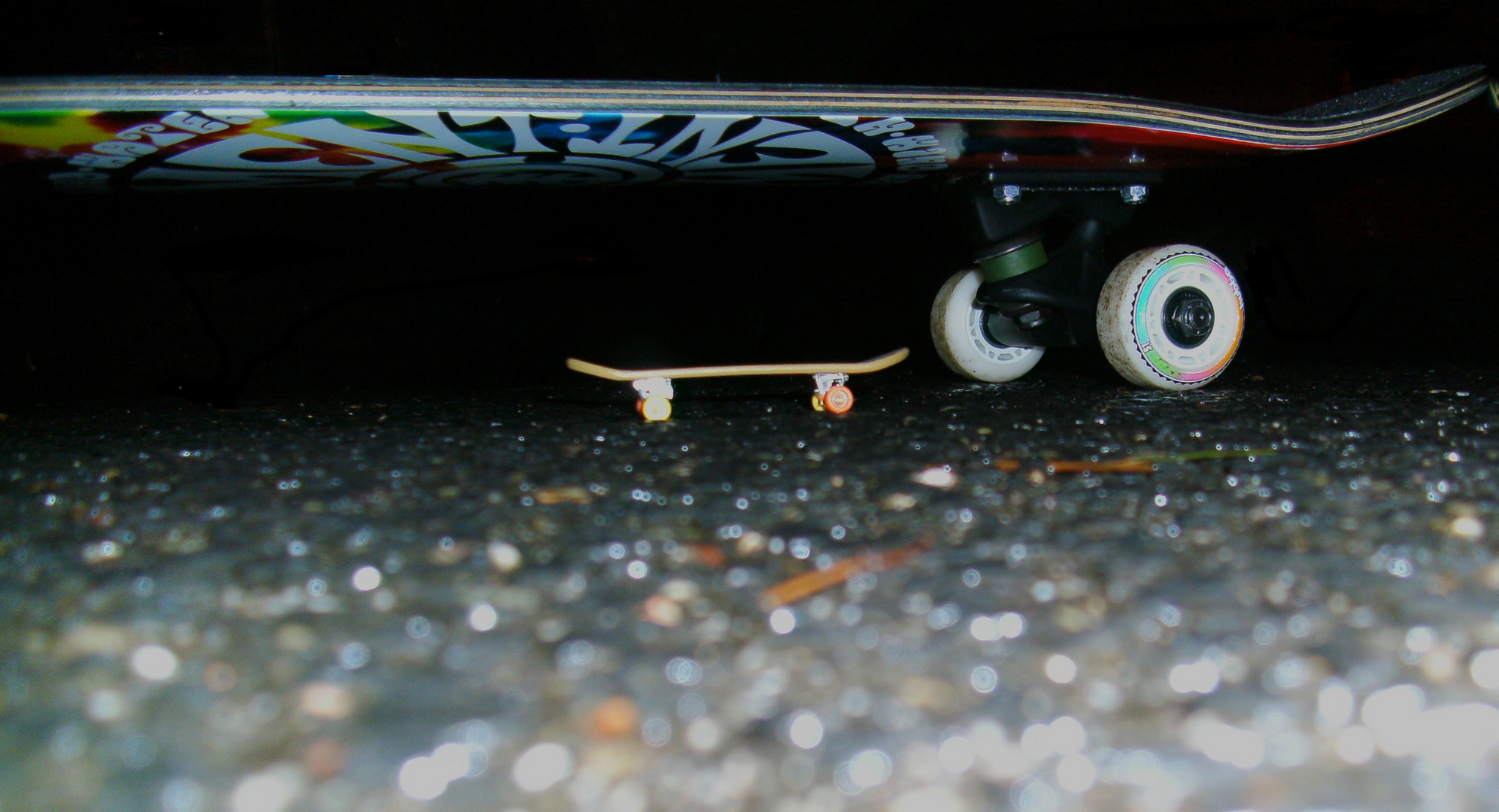 Skateboard und Fingerboard.