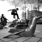 Skateboarding Chemnitz