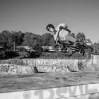 SkatePark Zürich Brunau