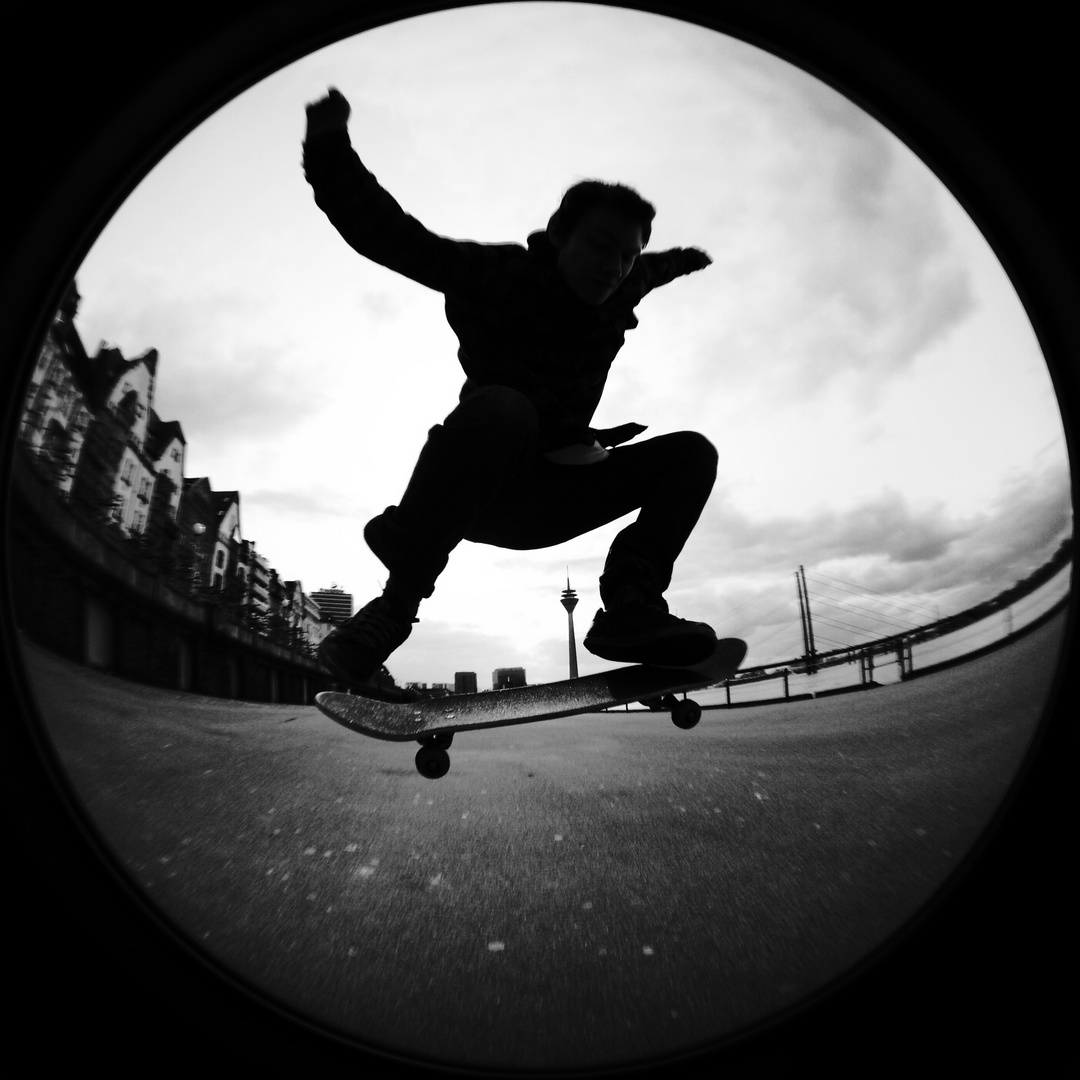 Skater at Rhein