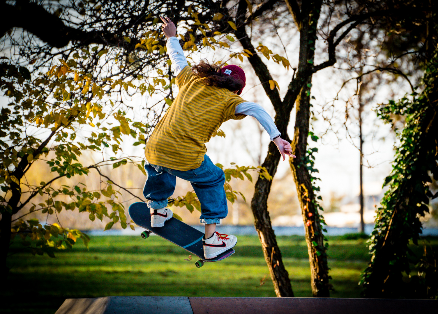 Skater Girl ...