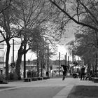 Skater im Park