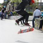 Skaterpark 3