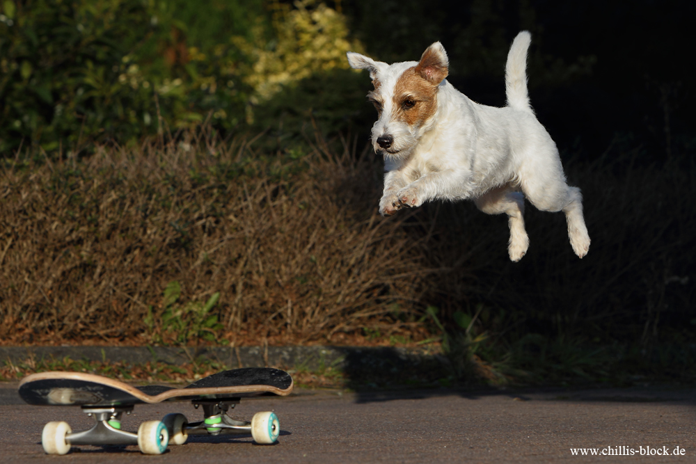 Skating