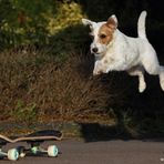 Skating