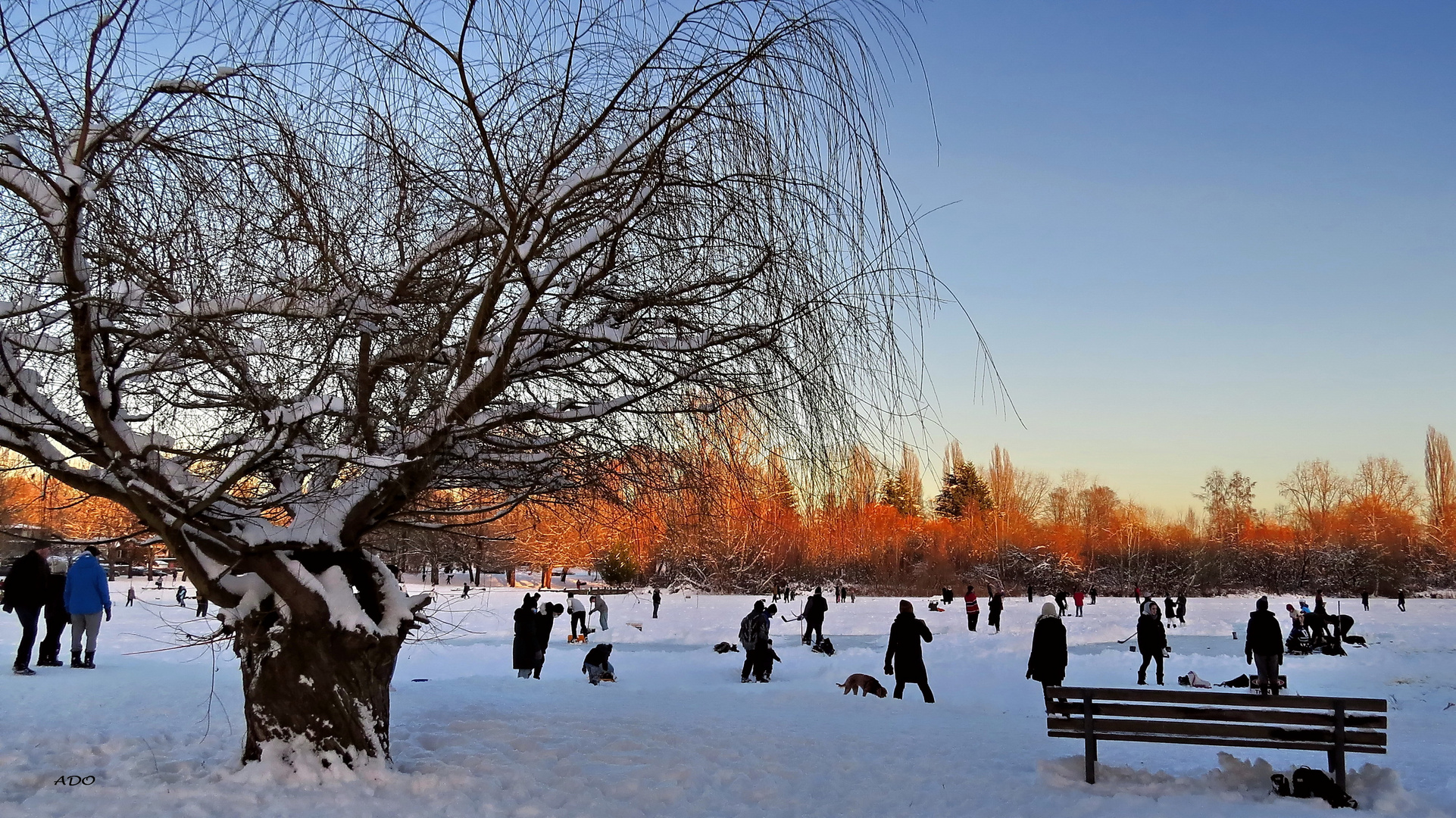 Skating on Trout Lake