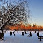 Skating on Trout Lake