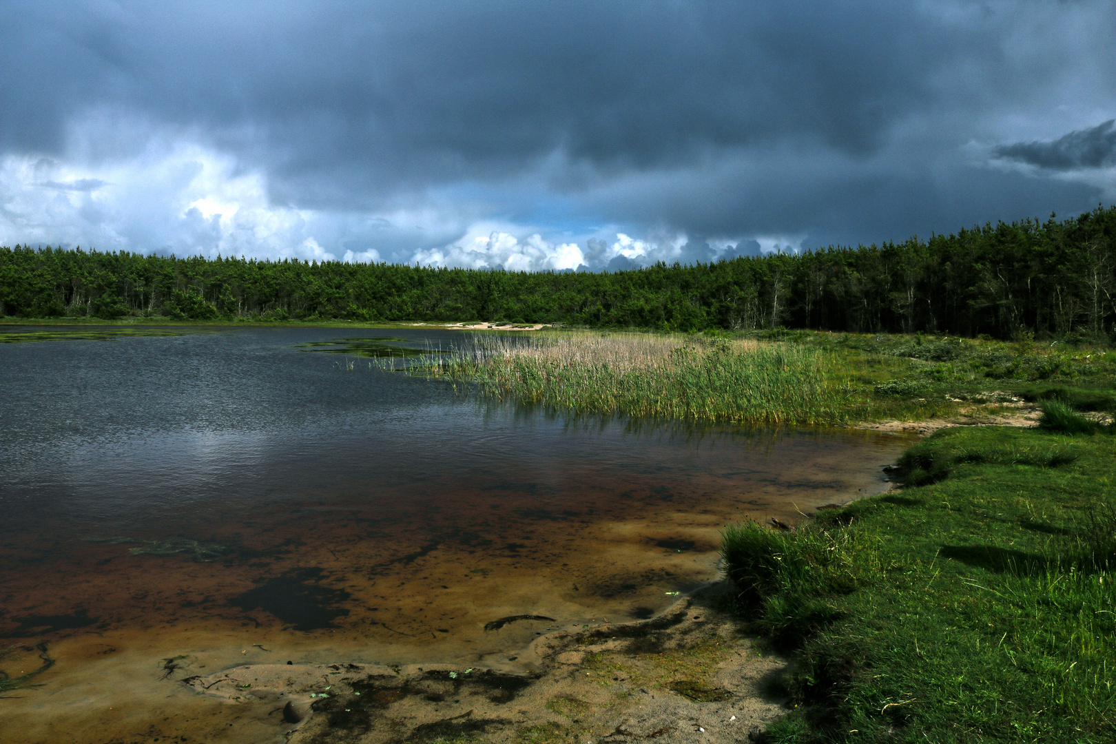 Skavemosen Badesø 