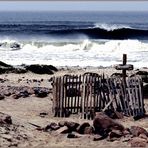 skeleton coast