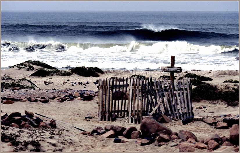 skeleton coast