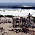 skeleton coast