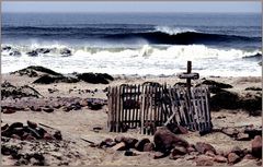 skeleton coast