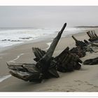 Skeleton Coast