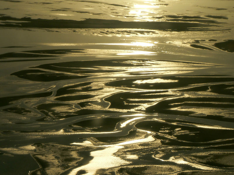 Skeleton Coast (Sandwich Bay)