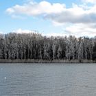 Skeleton Trees II