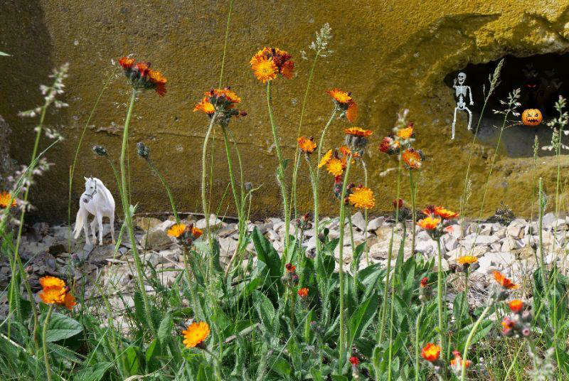 Skelett am Tage zwischen den Blumen