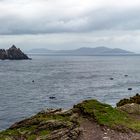 Skelligs