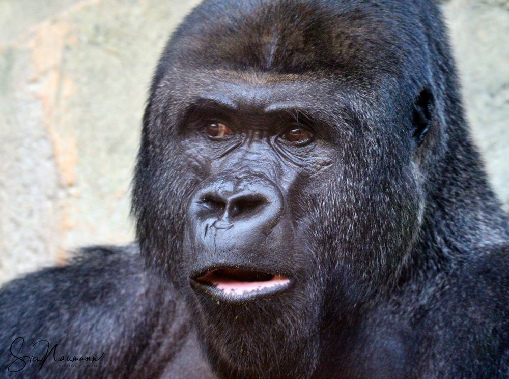 Skepsis Foto & Bild deutschland, europe, hessen Bilder auf