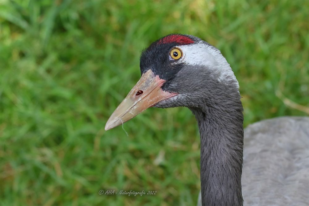 Skeptischer Blick