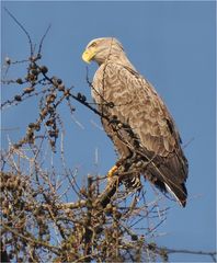 Skeptischer Blick