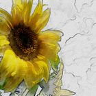::: sketch of a sunflower :::