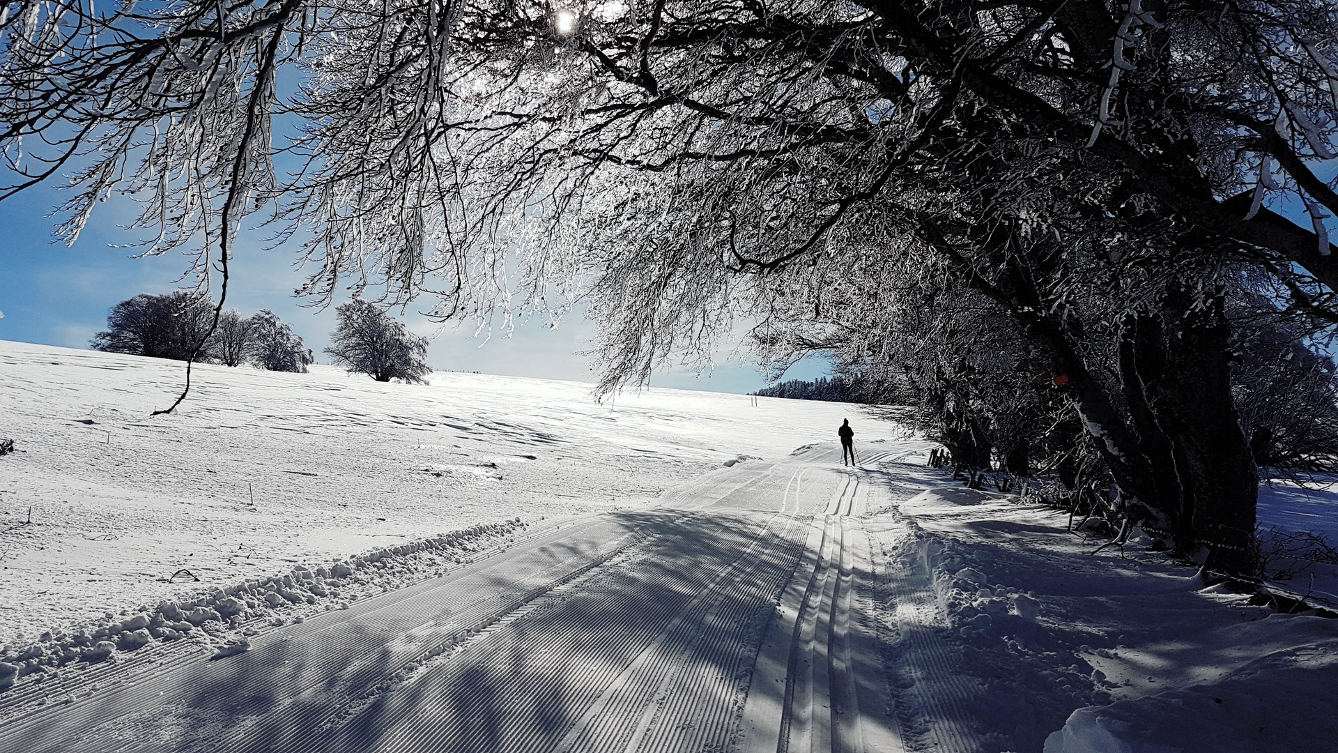 Ski de fond à Nasbinals(48)