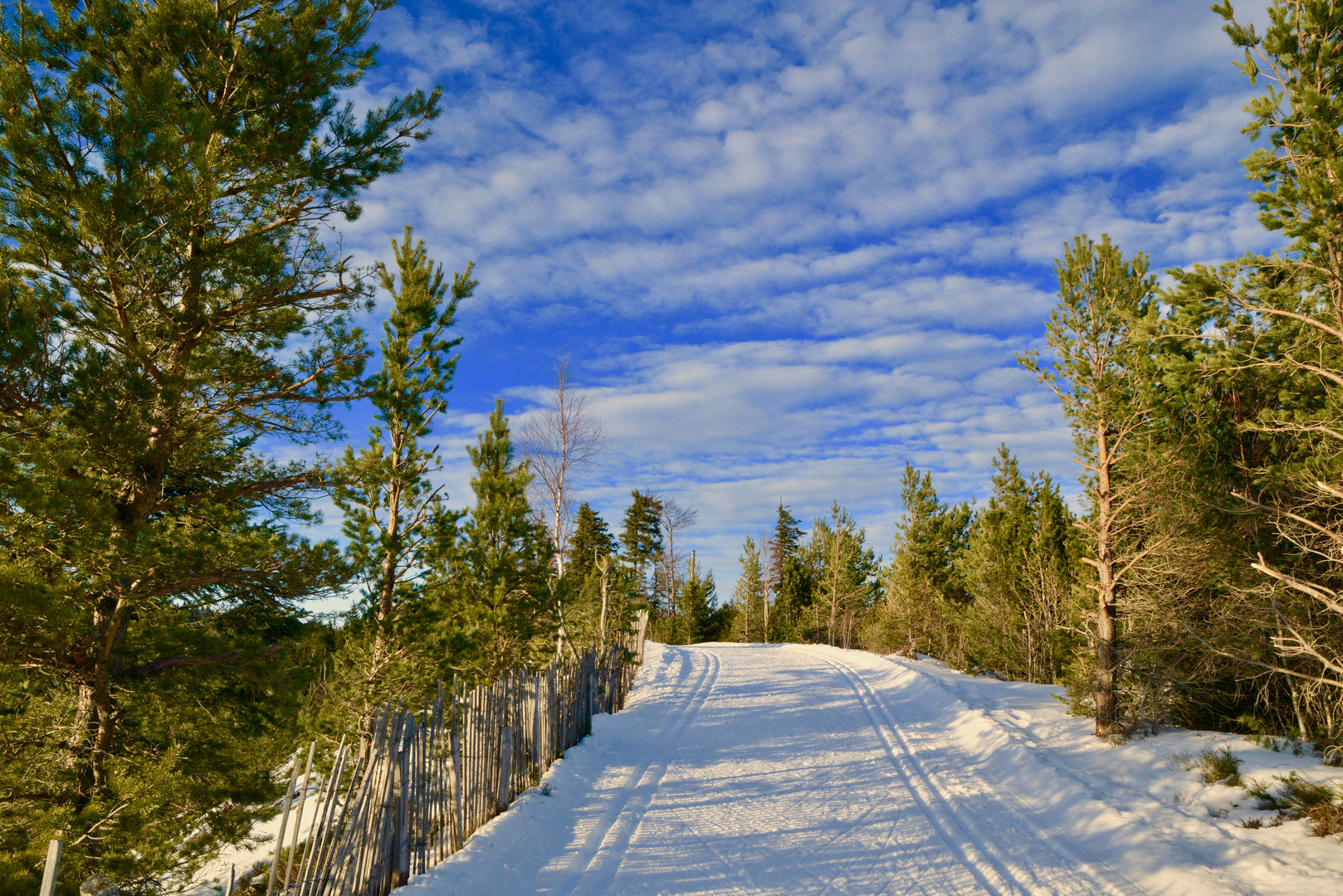 Ski de fond ce jour au lac blanc