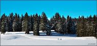 ....Ski de fond dans le Jura.... de Janwida 