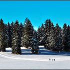 ....Ski de fond dans le Jura....