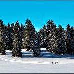 ....Ski de fond dans le Jura....