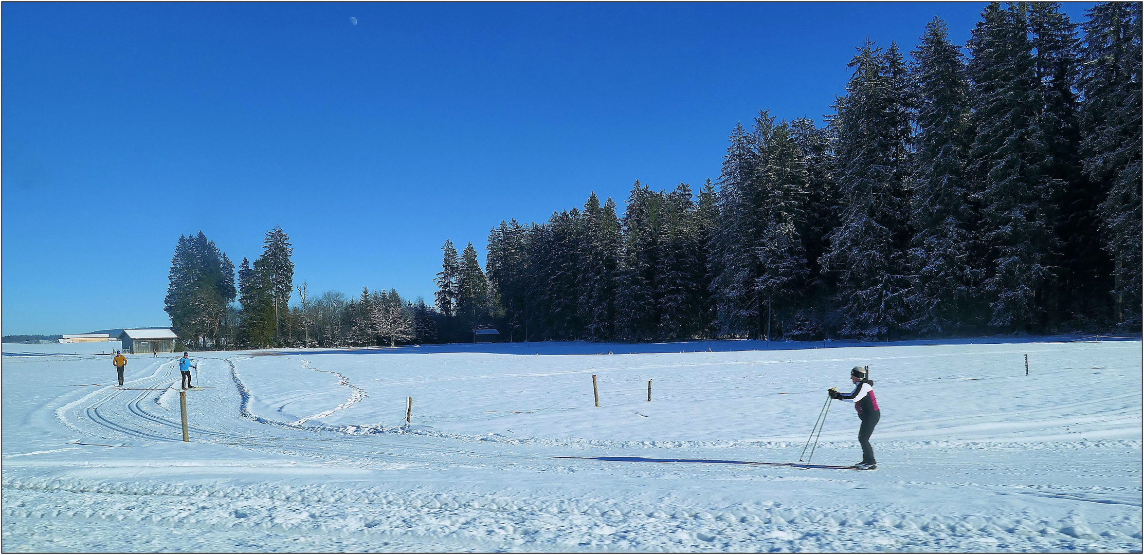 Ski-Langlauf