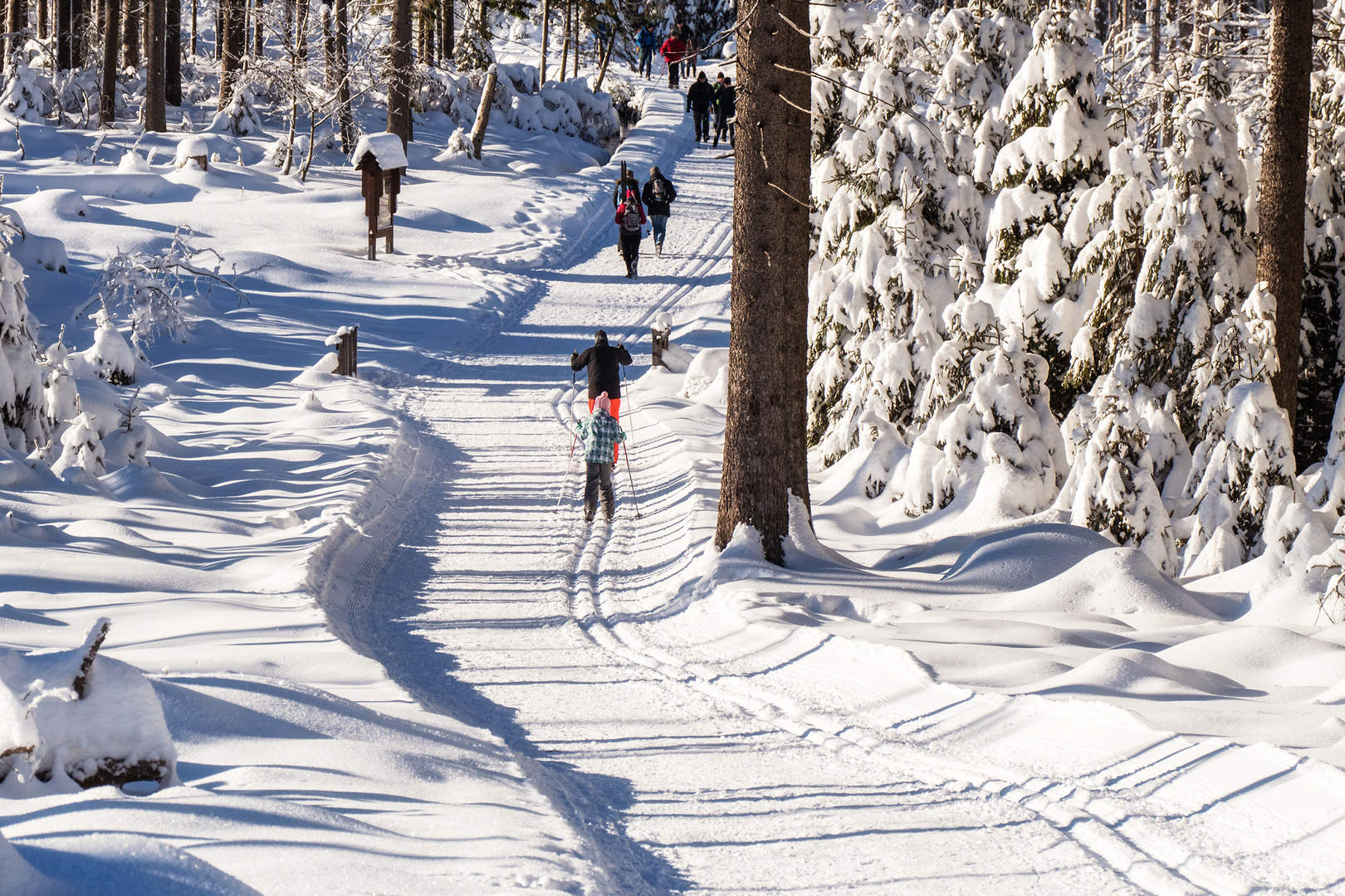 Ski und Rodel: Gut