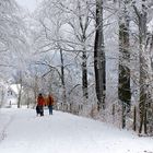 Ski und Rodel sehr gut!!!