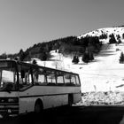 skibus