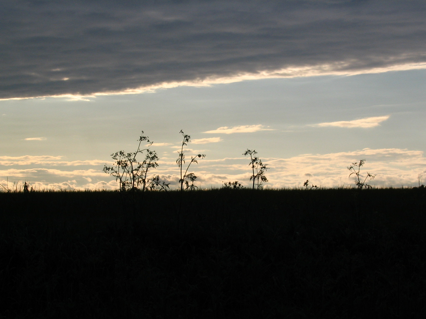 Skies & Land...