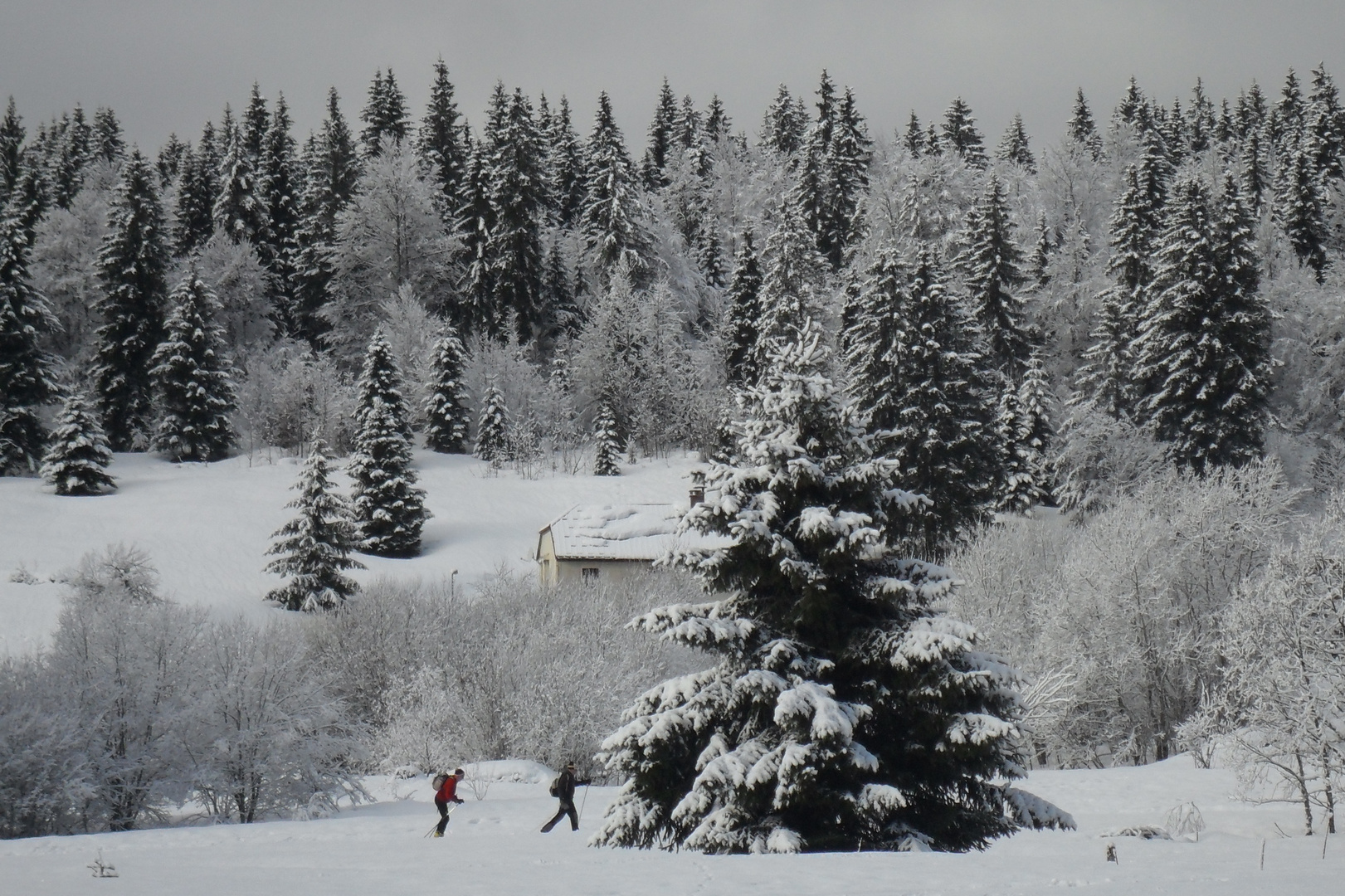 skieurs de fond à Lamoura