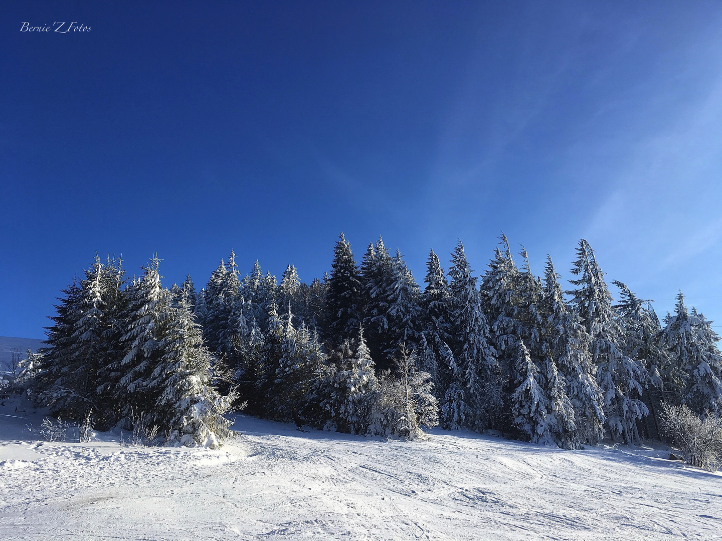 skiez Vosges 2