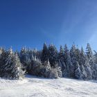 skiez Vosges 2